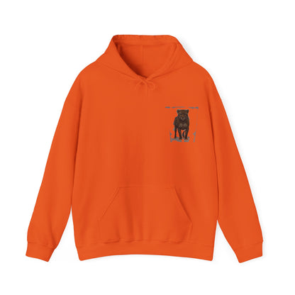 Copy of  " MOTIVATIONAL "Cheetah 'Run Like a Cheetah Toward Success' Hoodie