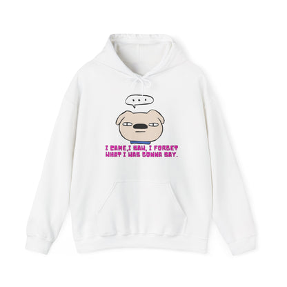 Minimalist & Aesthetic |Funny Forgetful Pug Hoodie — "I Came, I Saw, I Forgot What I Was Gonna Say"