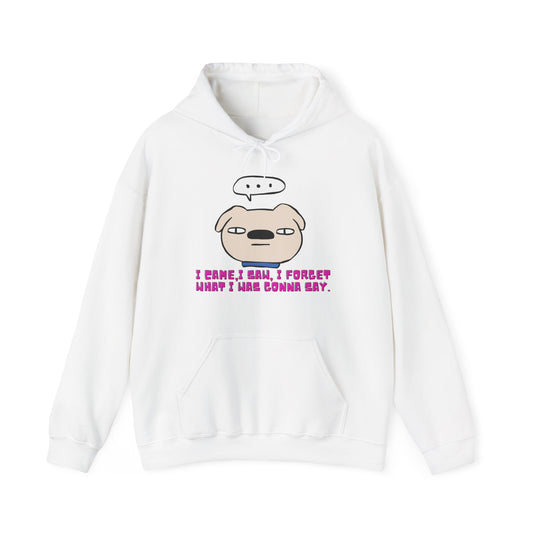 Minimalist & Aesthetic |Funny Forgetful Pug Hoodie — "I Came, I Saw, I Forgot What I Was Gonna Say"