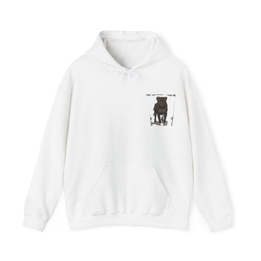 Copy of  " MOTIVATIONAL "Cheetah 'Run Like a Cheetah Toward Success' Hoodie