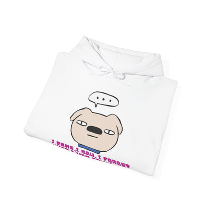 Minimalist & Aesthetic |Funny Forgetful Pug Hoodie — "I Came, I Saw, I Forgot What I Was Gonna Say"